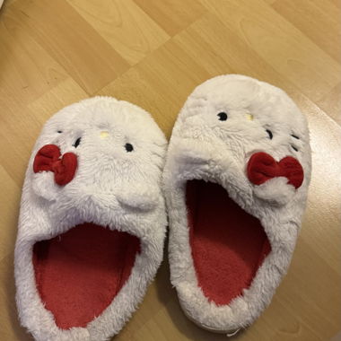 Pantofole in peluche