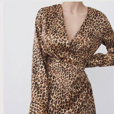 Zara dress
