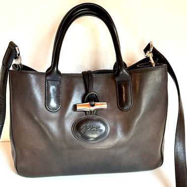  Rare Longchamp Roseau Héritage Long Shoulder Bag – Two-tone.