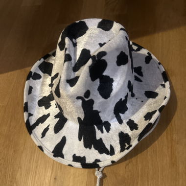 Cowboyhut