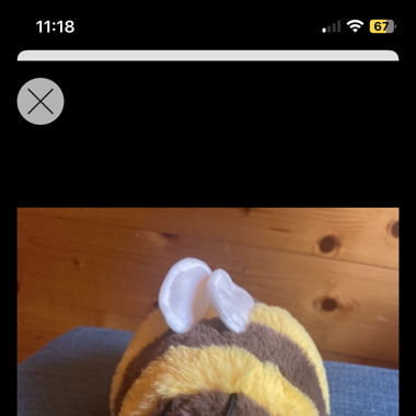 2024Coop Frühlings Gefühle Plüsch Hummel Tschilli 