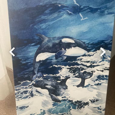 Displate Metallposter Orcas