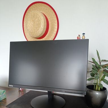 Écran ThinkVision