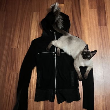 14th addiction bterry custom cross zip
