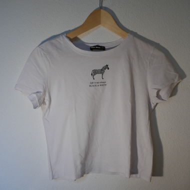 Crop Top / T-Shirt