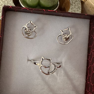Complete silver set, size 53