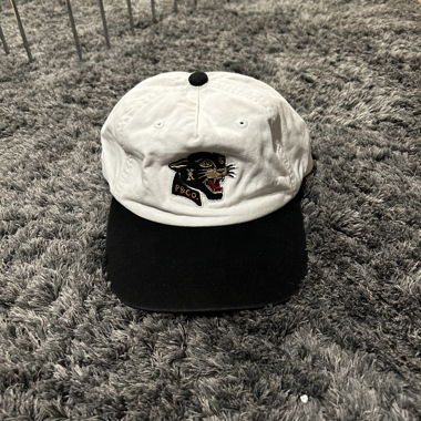 Cappellino P&CO