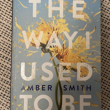 The Way I Used to Be book in English