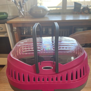 Cage de transports pour petits animaux