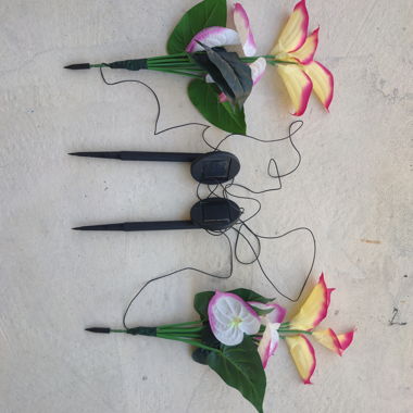 Solar flowers