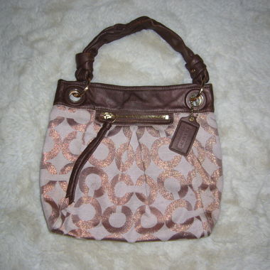 Gold and brown Coach bag