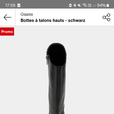 BOTTES GUESS