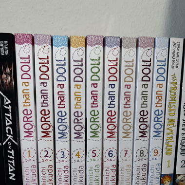 More Than A Doll Mangaka 1-9 Bänder