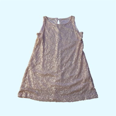 Glitter Dress