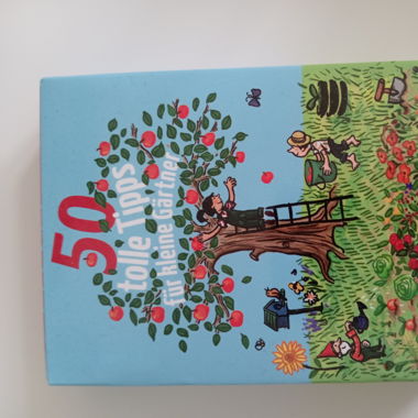 50 Informatione Karten 