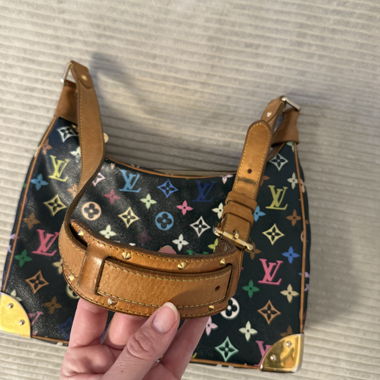 Louis Vuitton Multicolore Monogram