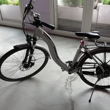E-Bike Wheeler E-Allterra I Preis verhandelbar