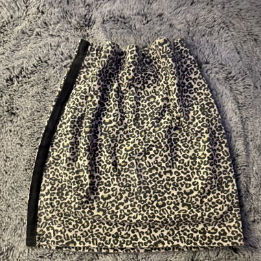 Leopard Mini Skirt with Black Side Stripes