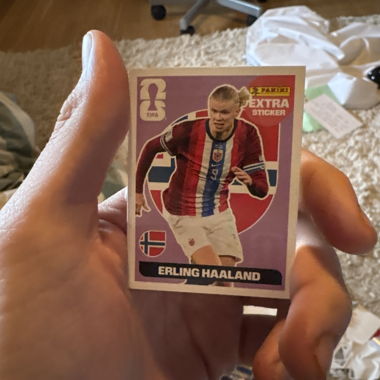 Extra Panini Halland heugmin son