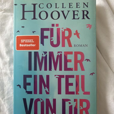 Romanzo di Colleen Hoover
