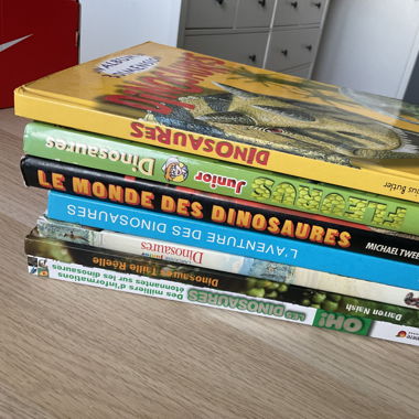 Livres pour enfants dinosaures