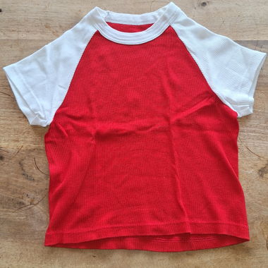 brandy melville crop top