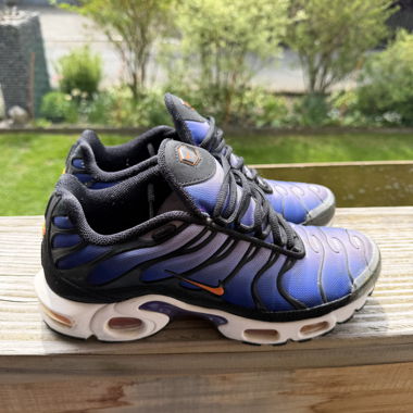 Nike Air Max Plus Shoes Lilac