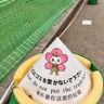 cococo