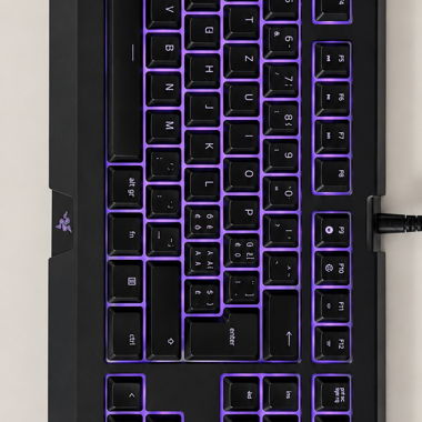 Razer Gaming Keyboard