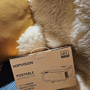 Mini Projector 