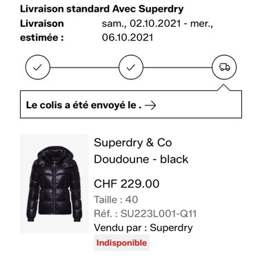 Daunenjacke Superdry & Co