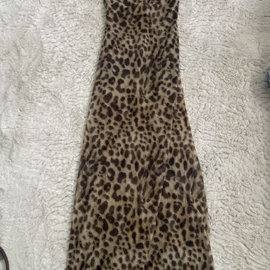 Zara Leopard Maxi Dress