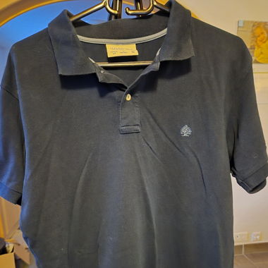 Polo Springfield