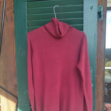 🐙 Chicorée Basic Ultra Long Rollneck