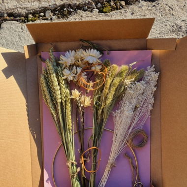 Getrocknete Blumen (Decoration/Basteln) 