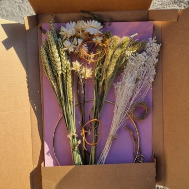 Getrocknete Blumen (Decoration/Basteln) 