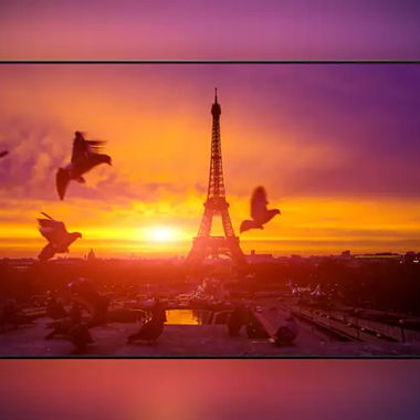 PHILIPS 4K UHD OLED Android TV 65OLED873/12