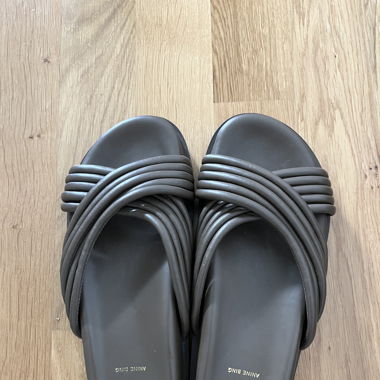 Anine Bing Slides 
