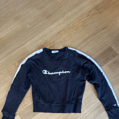 Pulli