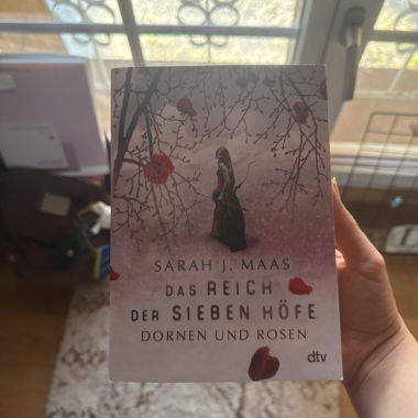 Libro romance Booktok