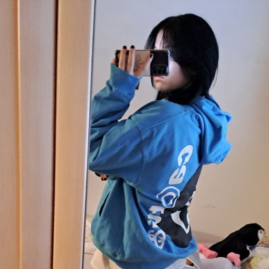 blue stussycactus hoodie