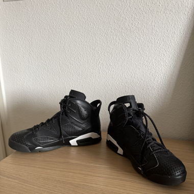 Jordan 6 black cat 