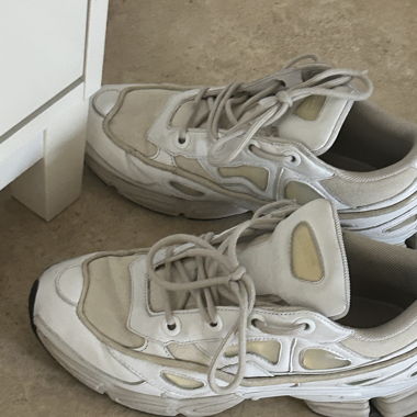 Raf Simons Adidas Ozweego