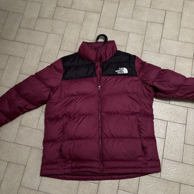 The North Face Winter Jacket