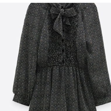 Zara dress