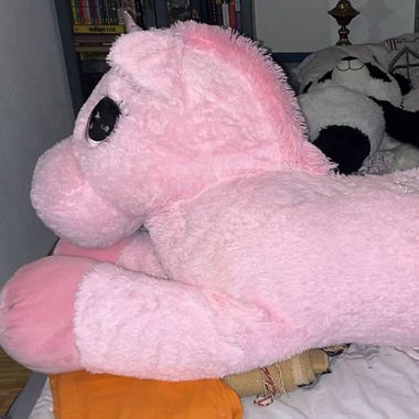 Licorne XXL