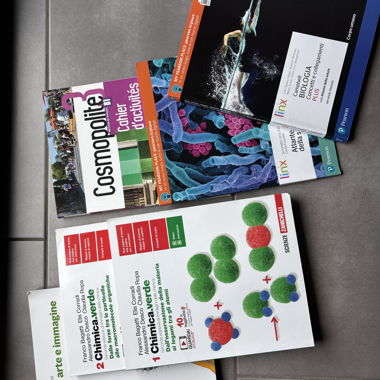 Schulbücher Oberstufe