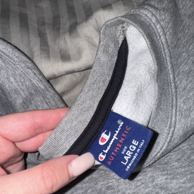 Champions Sweater 