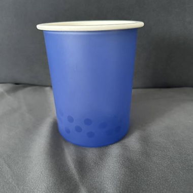 Tupperware Box