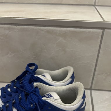 Nike dunk shoes